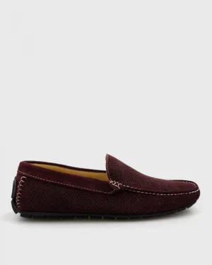 ANTICA CALZOLERIA  801-C MAROON SUEDE DRIVING SHOE